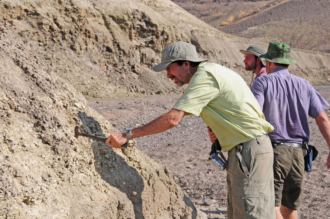 Professor Andrew S. Cohen and ASU co-principal investigators Chris Campisano and Ramon Arrowsmith examine outcrops near the Northern Awash River drill site in Ethiopia. Professor Andrew S. Cohen and ASU co-principal investigators Chris Campisano and Ramon Arrowsmith examine outcrops near the Northern Awash River drill site in Ethiopia.
